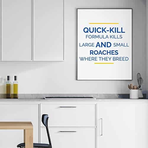 Hot Shot Liquid Roach Bait, Roach Killer, 1 Pack, 6-Count - Image 8