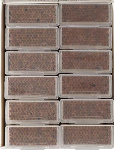 Tea Tree Therapy Toothpicks, Cinnamon, 100 Count - Image 6