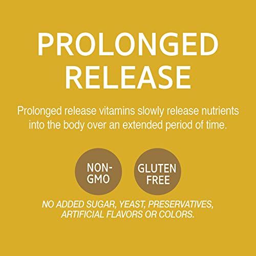 21st Century B 100 Complex Prolonged Release Caplets, 60 Count (Pack of 1) - Image 3