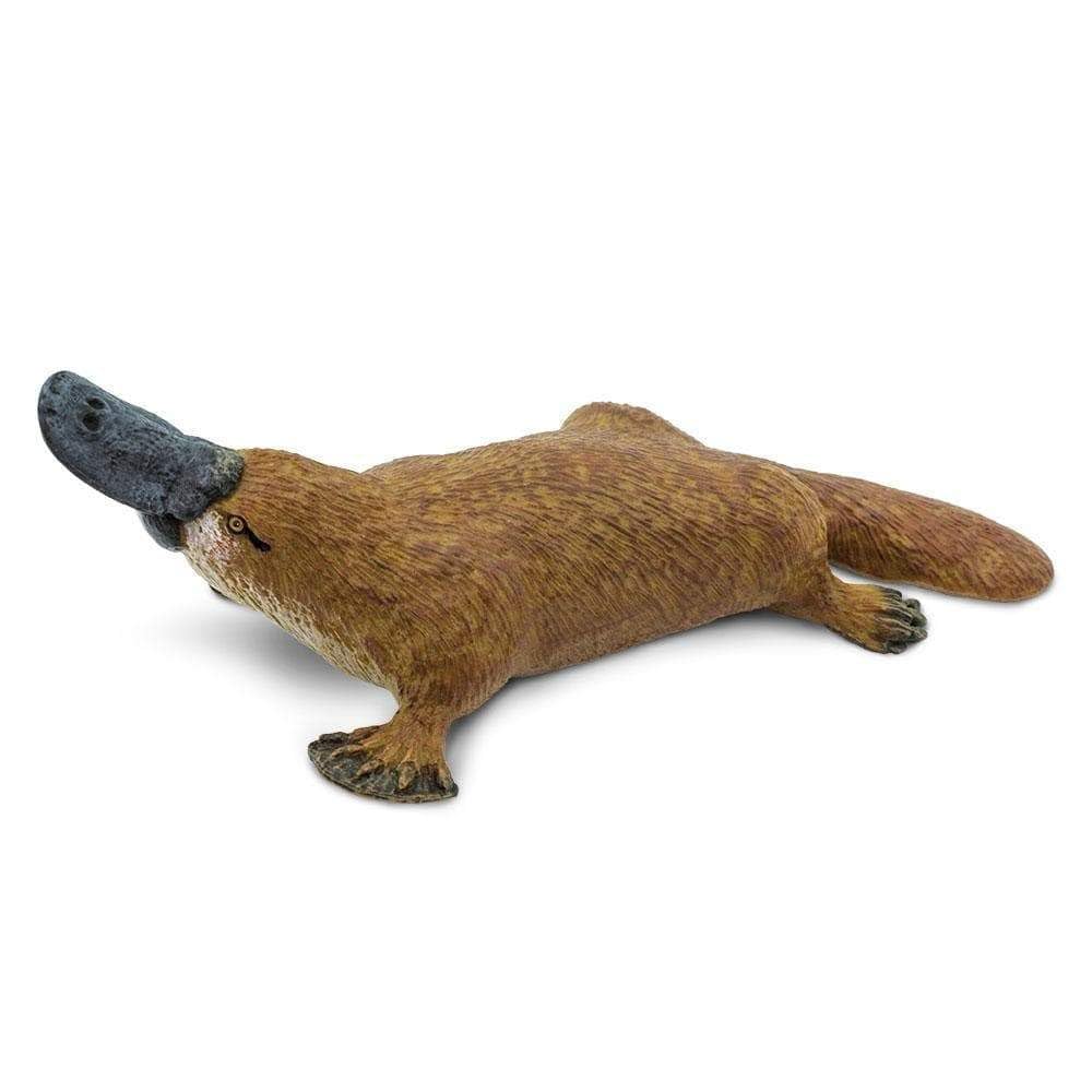 Safari Ltd. Platypus Figurine - Detailed 4.75" Plastic Model Figure - Fun Educational Play