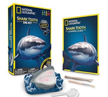 NATIONAL GEOGRAPHIC 80473 Shark Teeth Dig Kit