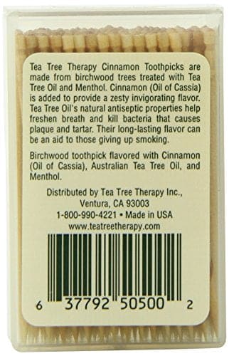 Tea Tree Therapy Toothpicks, Cinnamon, 100 Count - Image 4