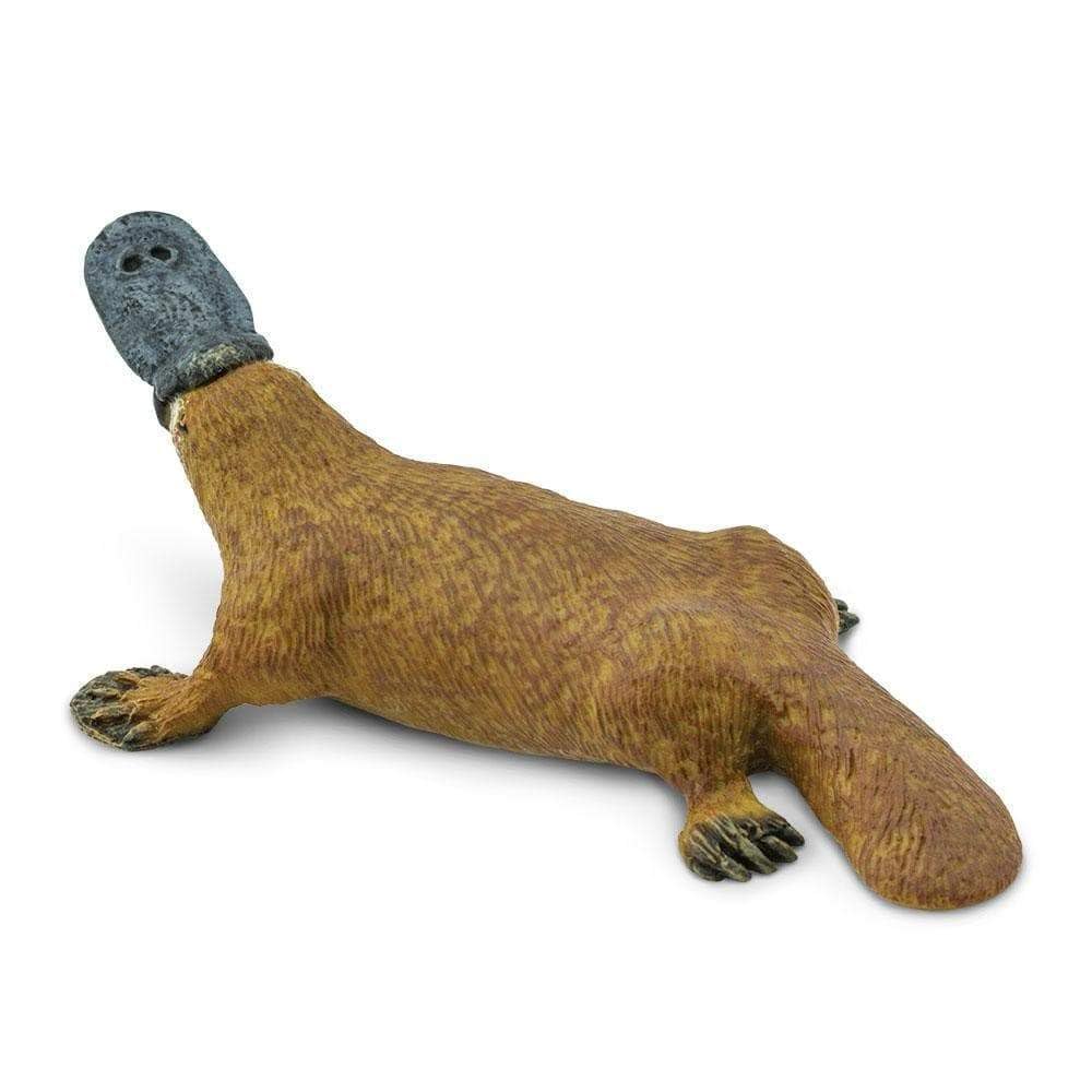 Safari Ltd. Platypus Figurine - Detailed 4.75" Plastic Model Figure - Fun Educational Play - Image 4