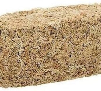 Zoo Med Laboratories SZMCF25 New Zealand Sphagnum Moss, .33-Pound,Black