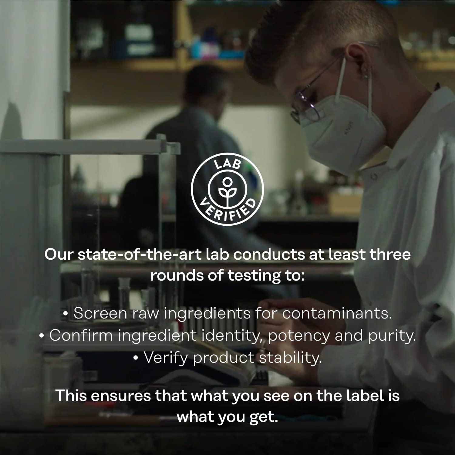 SOLARAY Organic Burdock Root 970 mg - Digestive Support Supplement - USDA Burdock Root Org - Image 4