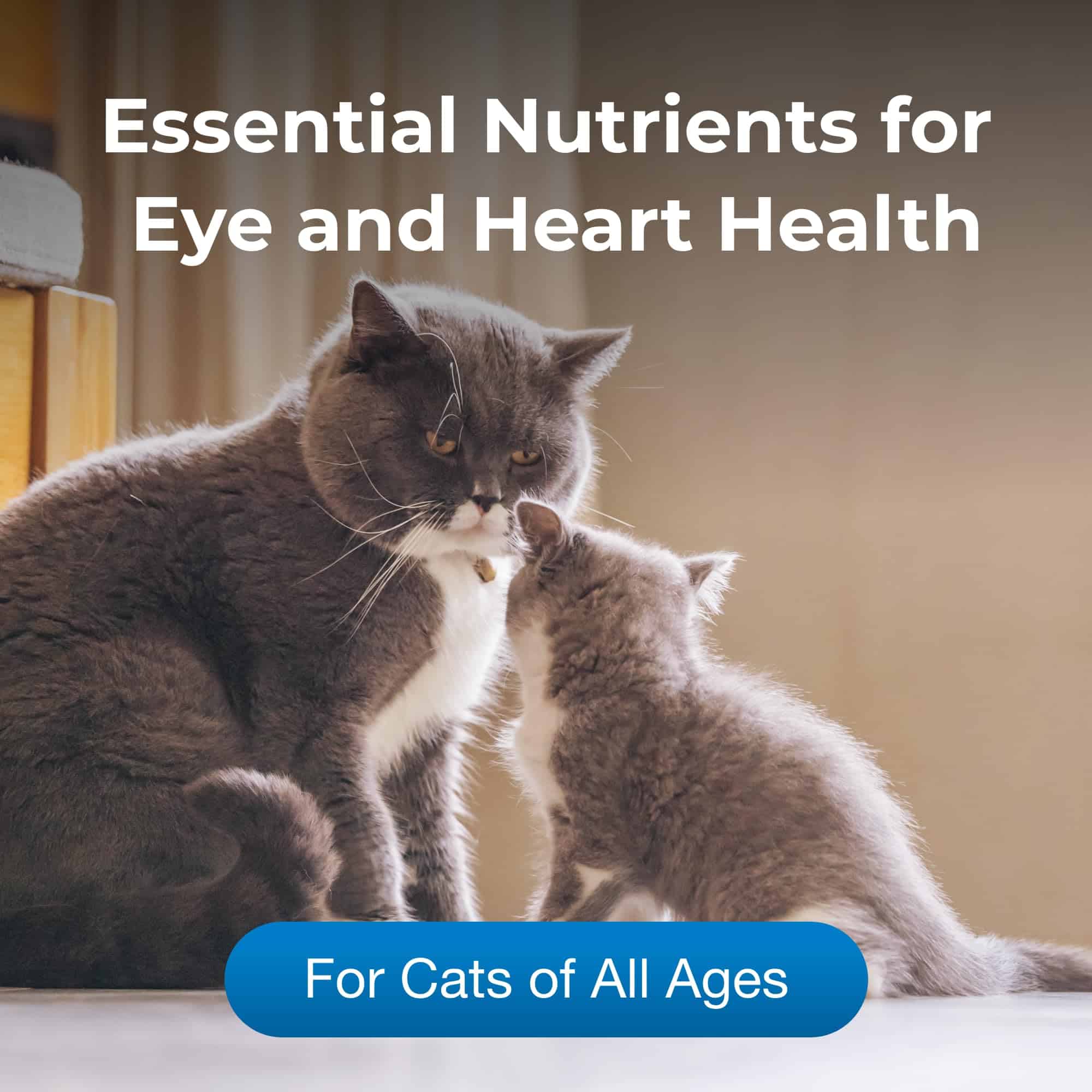 Pet-Ag Taurine Tablets for Cats - 100 Tablets - Daily-Use, Chewable Supplement for Cats of - Image 3