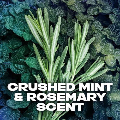 AXE Phoenix Antiperspirant For Men Mint & Rosemary 48H Sweat & Odor Protection Stay Dry Fo - Image 4