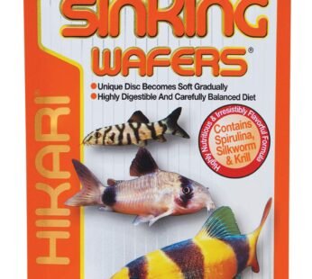 Hikari Tropical Sinking Wafers for Catfish, Loaches and Bottom Feeders 3.88 oz