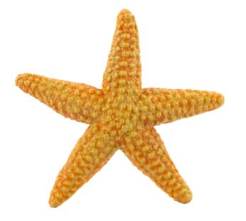 Safari Ltd. Starfish Figurine – Vibrant 4.5″ Sea Star Figure – Educational Toy for Boys, G