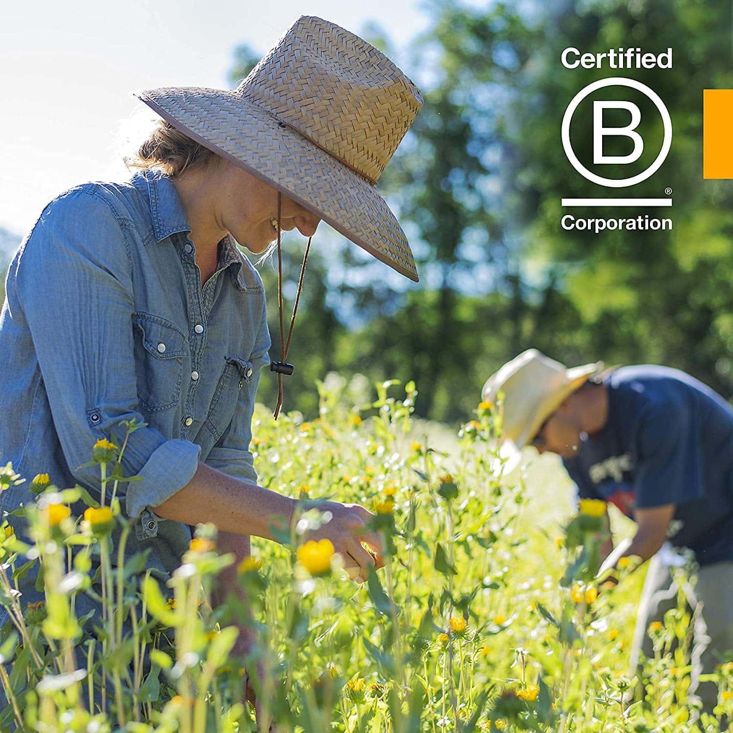 Herb Pharm Rhodiola 1 oz Liquid - Image 7