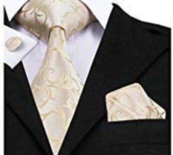 Hi-Tie Mens Wedding Champagne Ties Silk Beige Necktie with Pocket Square Cufflinks Set