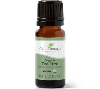 Plant Therapy Organic Tea Tree Oil (Melaleuca) 100% Pure, USDA Certified Organic, Undilute