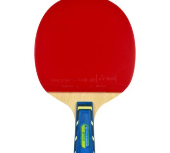 Butterfly BTY-CS 2000 Chinese Penhold Table Tennis Racket | Reverse Penhold Backhand Model