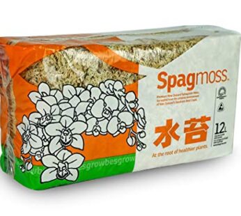 Premium New Zealand Sphagnum Moss, 150g (12L When Hydrated) – Harvested Sustainably from T