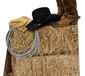 Beistle 3-D Western Centerpiece Party Accessory
