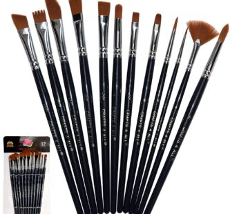 Crafts 4 All Acrylic Paint Brushes – Pack of 12 Professional, Wide and Fine Tip, Nylon Hai