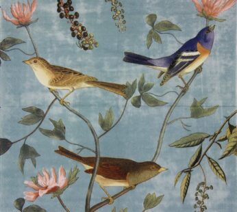 ALINK Decoupage Paper Napkins, Luncheon Tea Party Napkins Serviettes Printed Birds 20 Coun