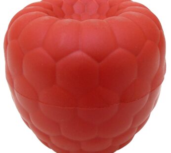 Hutzler Raspberries To-Go Snack Container Bento Box