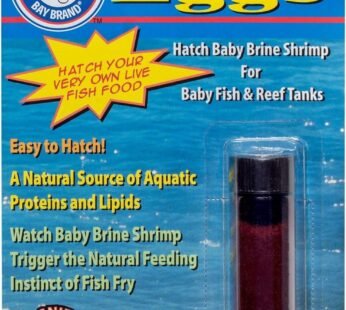 San Francisco Bay Brand Brine Shrimp Eggs Vial 0.2-Ounces (6 Grams) | Excellent Food Sourc
