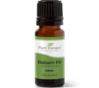 Plant Therapy Balsam Fir Essential Oil 10 mL (1/3 oz) 100% Pure, Undiluted, Therapeutic Gr