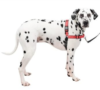 PetSafe Deluxe Easy Walk Dog Harness, No Pull Harness, Stop Pulling, Great For Walking a