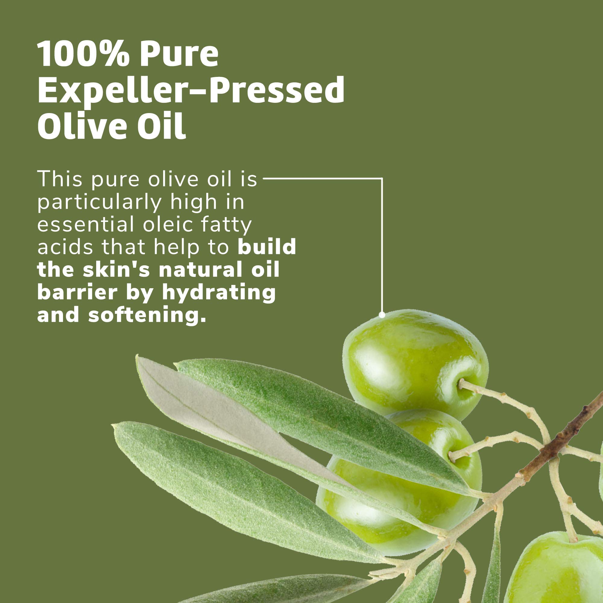 De La Cruz Pure Olive Oil - Natural Expeller Pressed Olive Oil for Hair and Skin - Lightwe - Image 5