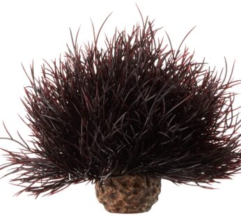 biOrb Sea Lily Crimson