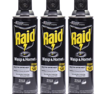 Raid Wasp & Hornet Killer Spray (14 Ounce (Pack of 3)