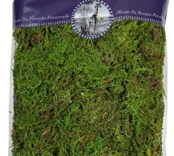 SuperMoss (25322) Forest Moss Preserved, Fresh Green, 8oz