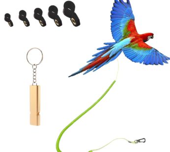 Parrot Bird Harness Leash Anti-bite Outdoor Flying Training Rope with 5pcs Different Sizes