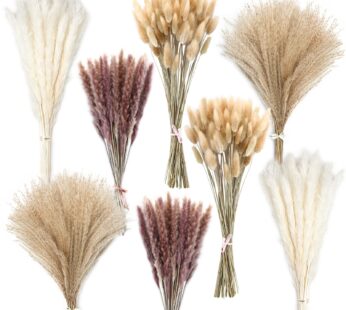 190 Pieces Pampas Grass Dried Pampas Grass Arrangement, 60 Pcs White Pampas Grass Decorati