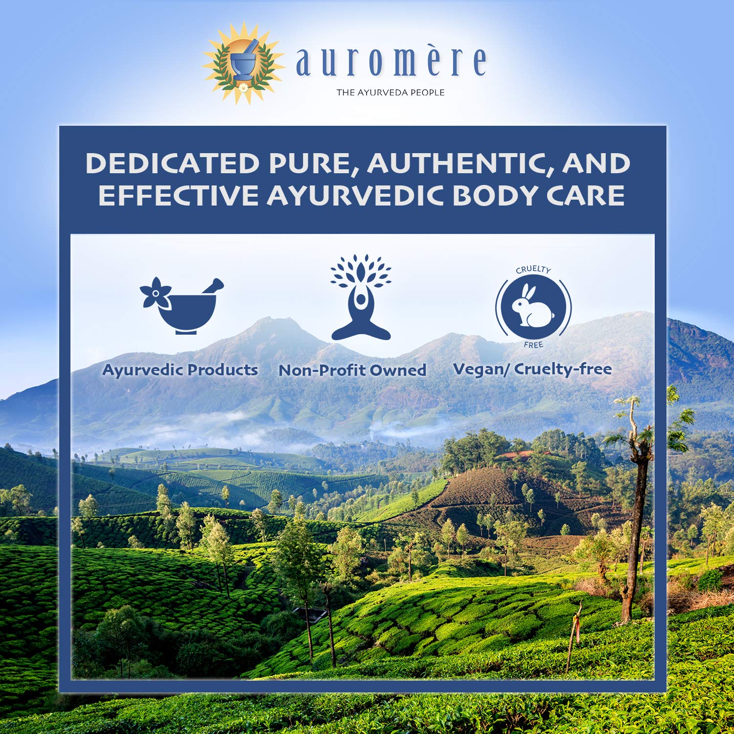 Auromere Ayurvedic Neem Toothpicks - Vegan, Natural, Non GMO, Made from Birchwood (100 Cou - Image 4