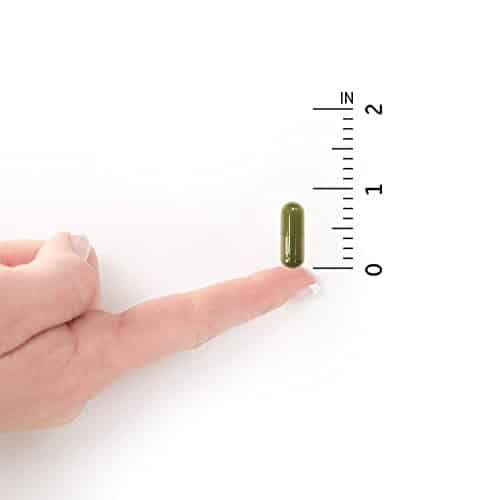 Garden Of Life D3 - Vitamin Code Whole Food Raw D3 Vitamin Supplement, 2000 Iu, Dairy and Gluten Free, Vegetarian, 120 Capsules D3 with Organic Green Cracked Wall Chlorella Plus Probiotics - Image 8