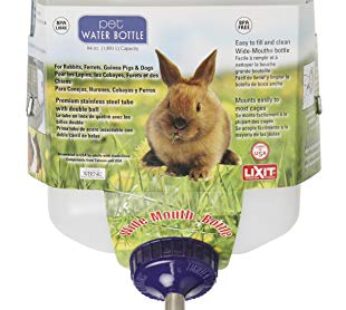 Lixit Widemouth Cage Water Bottles for Rabbits, Ferrets, Guinea Pigs, Rats and Other Small Animals. (White, 64 Ounce)