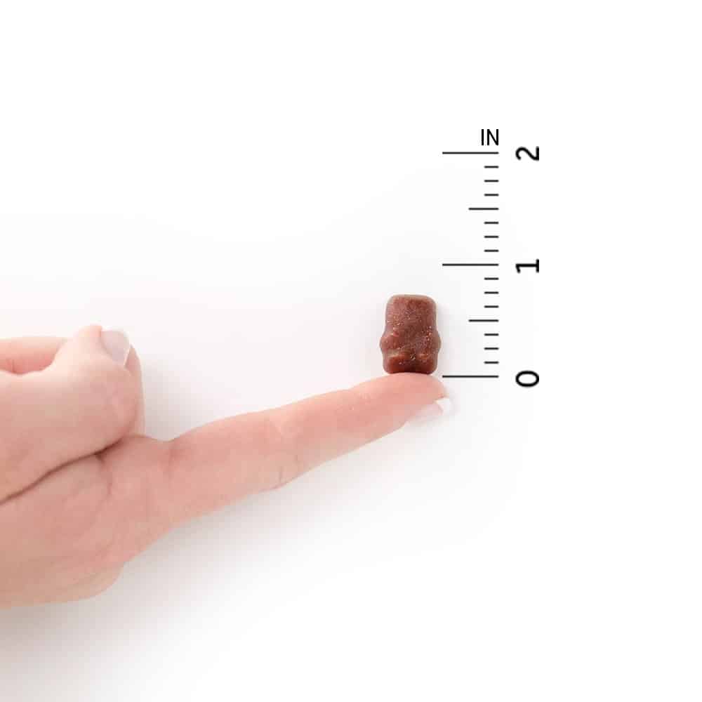 Garden of Life Organics Kids Gummy Vitamins, Certified Organic, Non-GMO & Vegan Complete Children's - B12, C & D3 Gluten, Soy & Dairy Free Real Fruit Chew Gummies, Multi, Cherry, 120 Count - Image 8