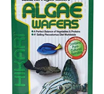 Hikari Algae Wafers for Pets, 0.70-Ounce