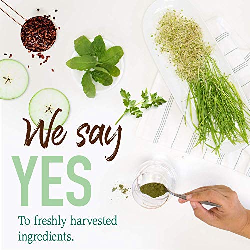 Garden of Life Raw Organic Perfect Food Green Superfood Juiced Greens Powder - Chocolate, 60 Servings, Non-GMO, Gluten Free, Vegan Whole Food Dietary Supplement, Plus Probiotics, Enzymes - Image 9