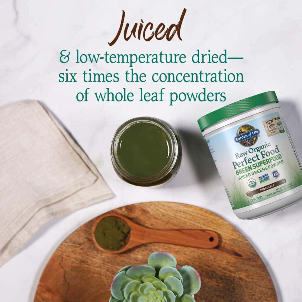 Garden of Life Raw Organic Perfect Food Green Superfood Juiced Greens Powder - Chocolate, 30 Servings - Non-GMO, Gluten Free, Vegan Whole Food Dietary Supplement, Plus Probiotics, 10.05 oz - Image 3