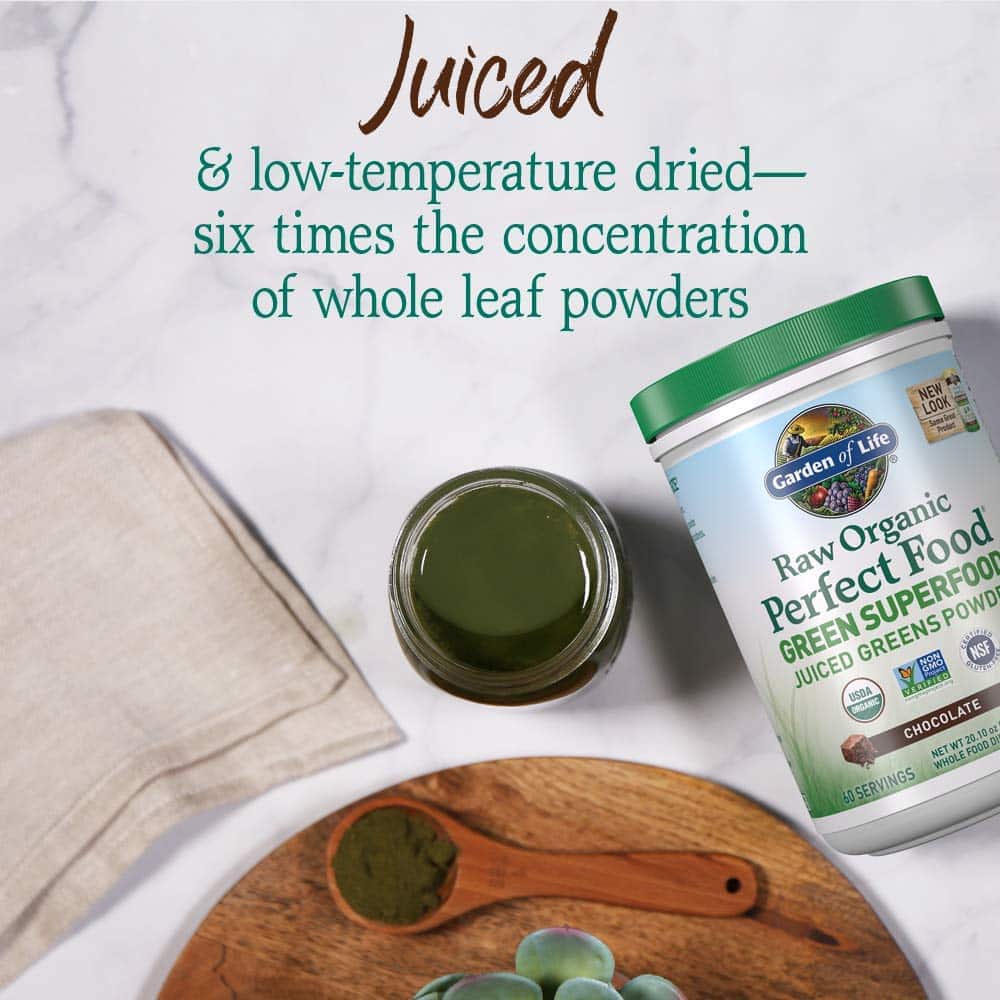 Garden of Life Raw Organic Perfect Food Green Superfood Juiced Greens Powder - Chocolate, 60 Servings, Non-GMO, Gluten Free, Vegan Whole Food Dietary Supplement, Plus Probiotics, Enzymes - Image 3
