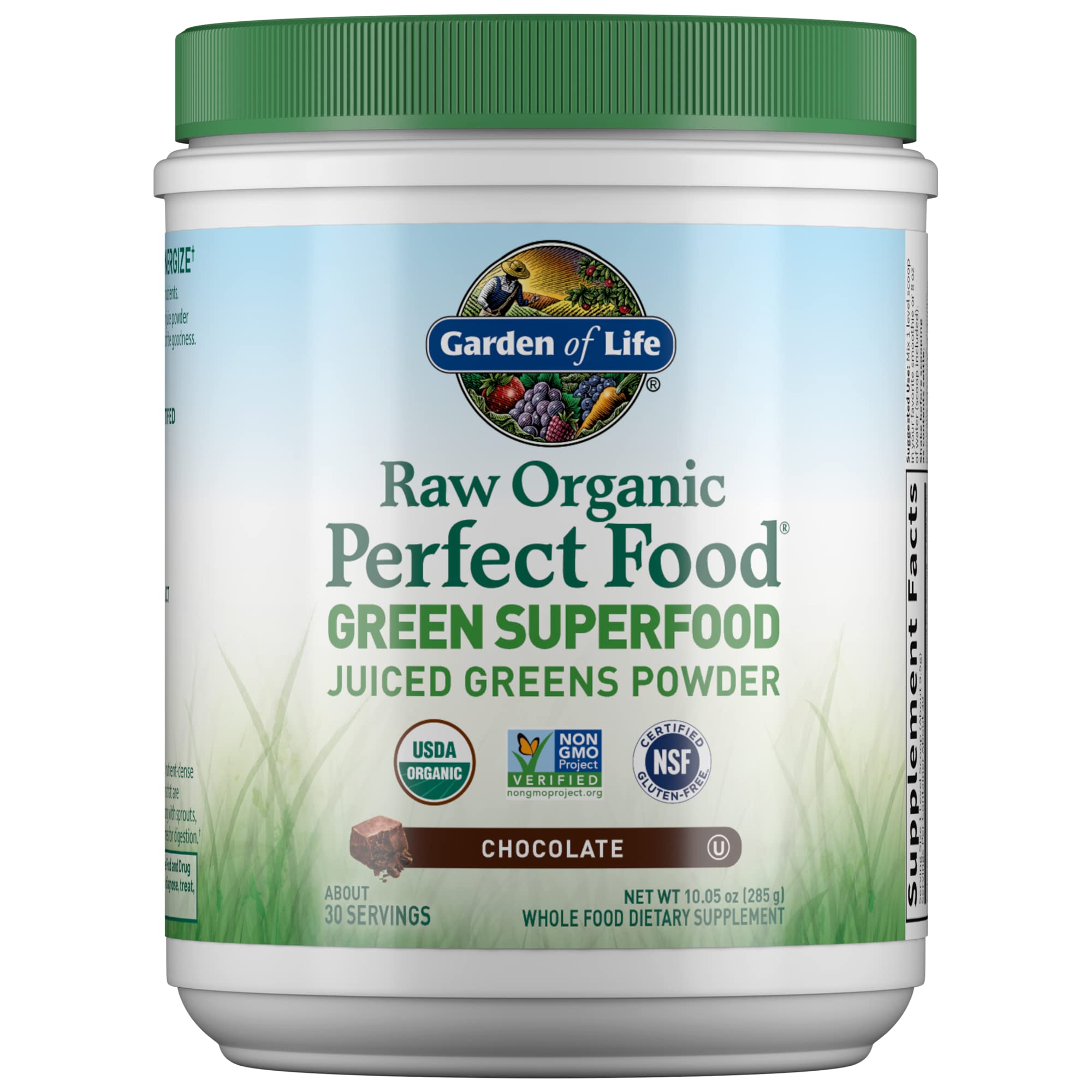 Garden of Life Raw Organic Perfect Food Green Superfood Juiced Greens Powder - Chocolate, 30 Servings - Non-GMO, Gluten Free, Vegan Whole Food Dietary Supplement, Plus Probiotics, 10.05 oz