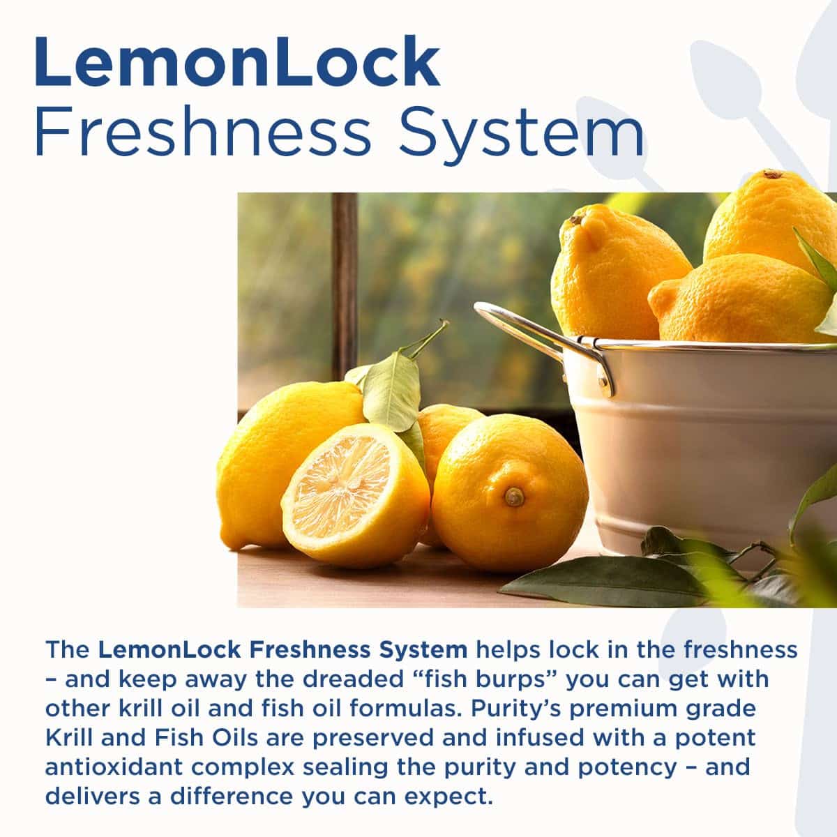 Purity Products Omega 3-6-9 Vegan and Vegetarian Omega Formula - ?5 in 1? Essential Fatty Acid Complex - Scientifically Formulated Plant-Based Omega 3 6 9 Essential Fatty Acids (EFA) - from (60) - Image 6