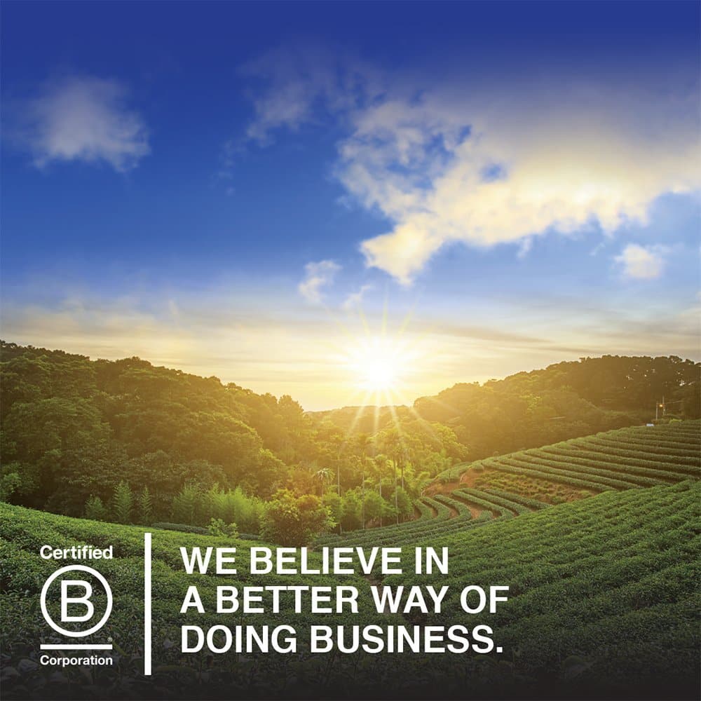 Chia Seeds 100% Organic for Smoothies, Pudding - Raw Organics Whole Seed Foods with Omega 3 Superfood, Fiber, Keto Friendly, Non-GMO, Gluten Free - Garden of Life - Vegan Egg Substitute, 28 Servings - Image 8