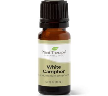 Plant Therapy White Camphor Essential Oil 10 mL (1/3 oz) 100% Pure, Undiluted, Therapeutic Grade