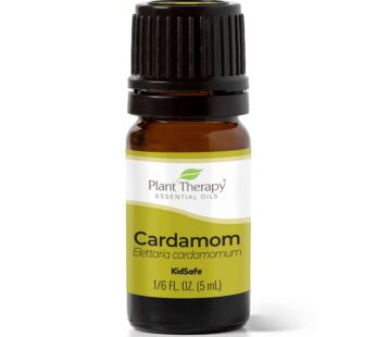 Plant Therapy Cardamom Essential Oil 5 mL (1/6 oz) 100% Pure, Undiluted, Therapeutic Grade