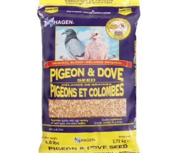 Hagen Pigeon & Dove Seed, Nutritionally Complete Bird Food, original version, 6 Pound (Pack of 1) (B2704)