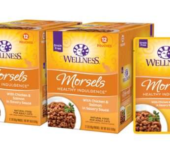 Wellness Healthy Indulgence Morsels Grain-Free Wet Cat Food, Made with Natural Ingredients, Quality Proteins, Complete and Balanced Meal, 3 oz Pouches (Chicken & Salmon, 24 Pack)