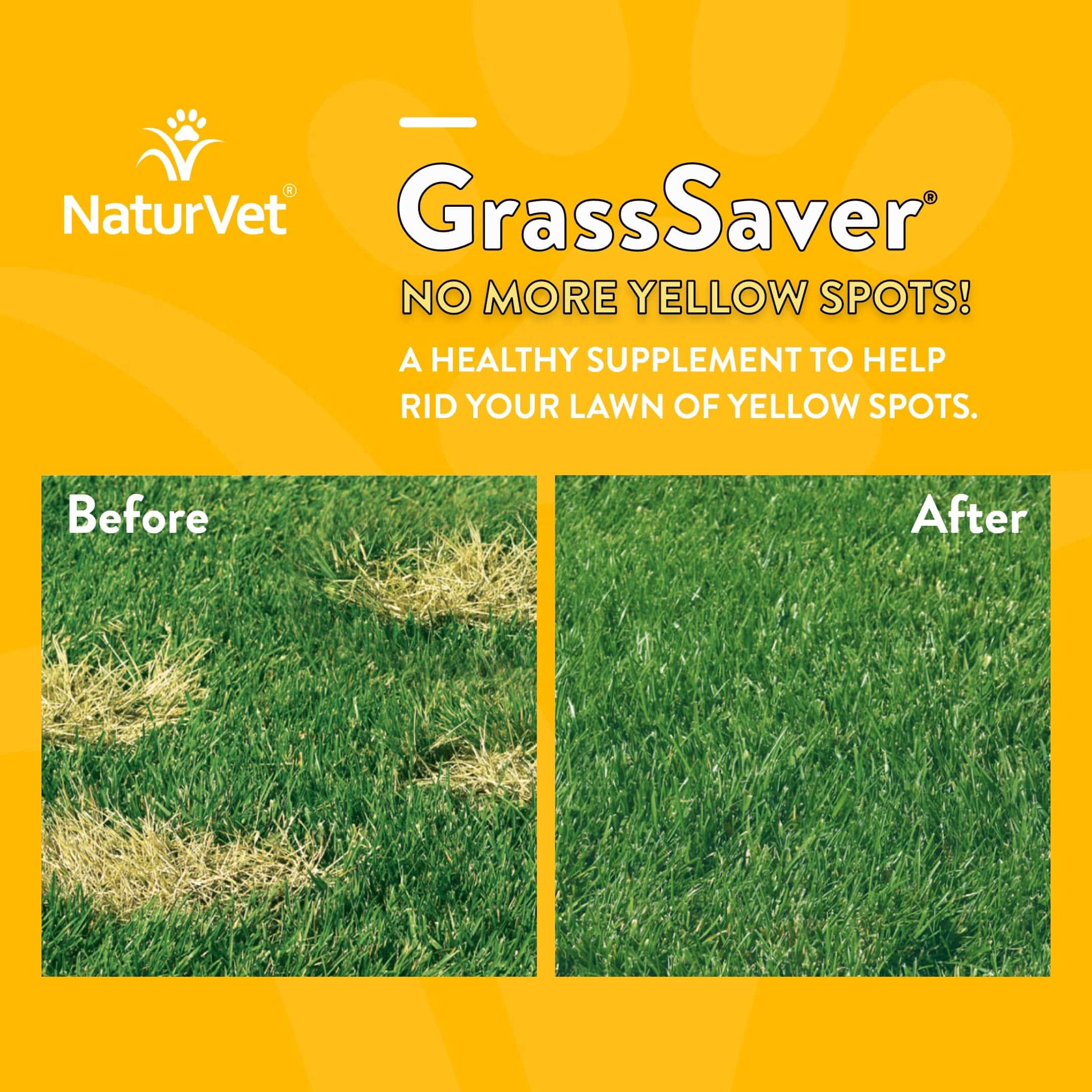 NaturVet ? GrassSaver Supplement for Dogs ? Healthy Supplement to Help Rid Your Lawn of Yellow Spots ? Synergistic Combination of B-Complex Vitamins & Amino Acids ? 500 Tablets - Image 3