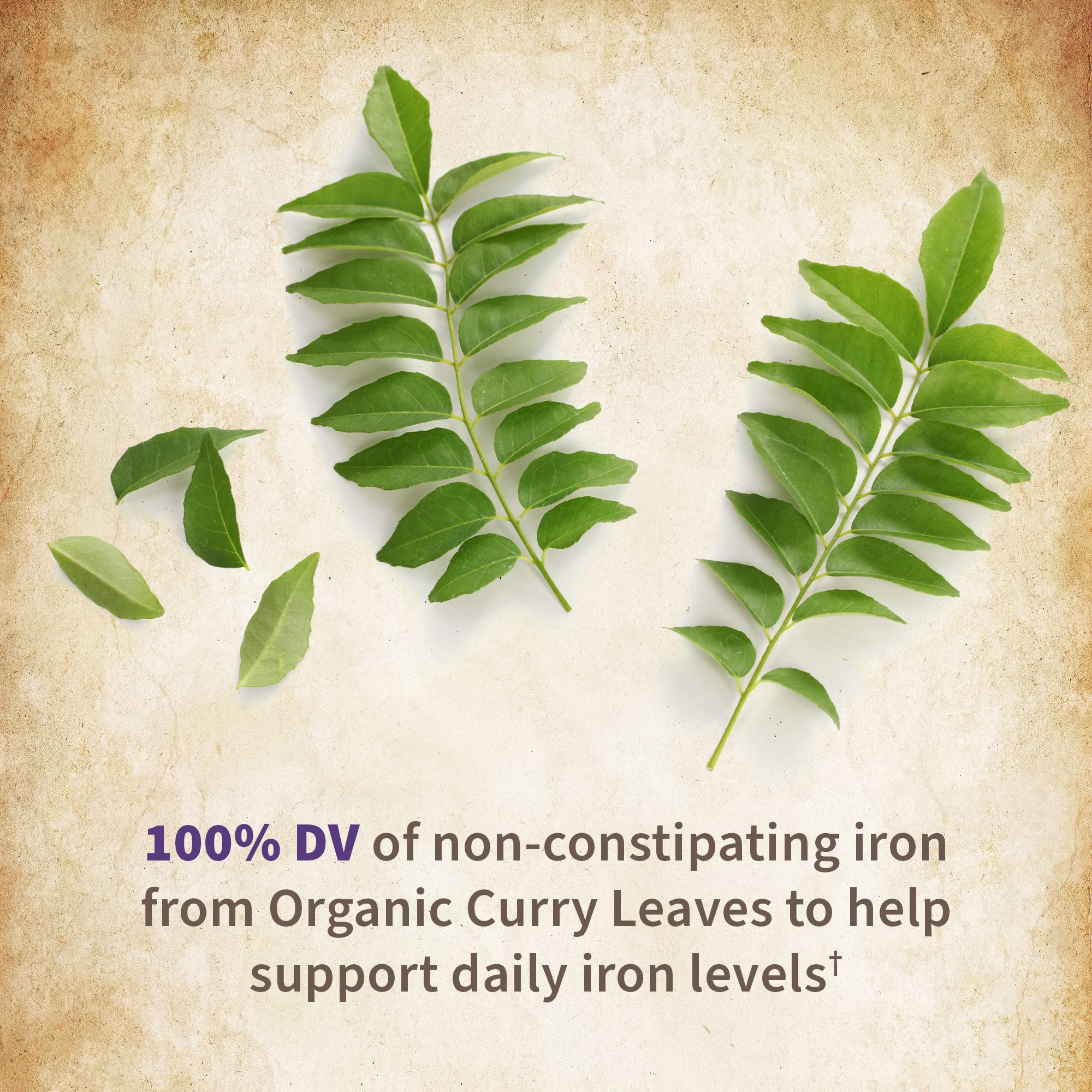 Garden of Life Organics Women?s Prenatal Multivitamin with Vitamin D3, B6, B12, C & Iron, Folate for Energy & Healthy Fetal Development ? Organic, Non-GMO, Gluten-Free, Vegan, 60 Day Supply - Image 7