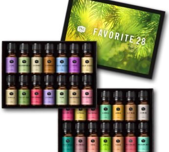 P&J Trading Fragrance Oil Favorite Set | Candle Scents for Candle Making, Freshie Scents, Soap Making, Diffuser Oil Scents