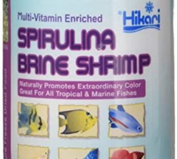 Hikari Bio-Pure Freeze Dried Spirulina Brine Shrimp Cubes for Pets, 0.42-Ounce